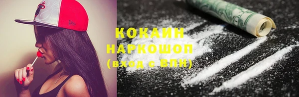 стафф Алексин