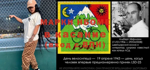 стафф Алексин