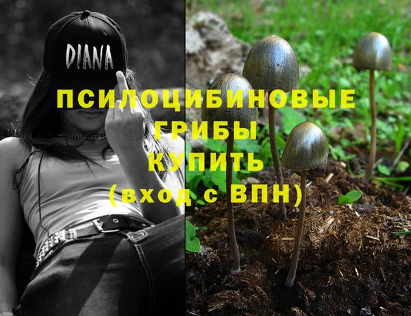 стафф Алексин