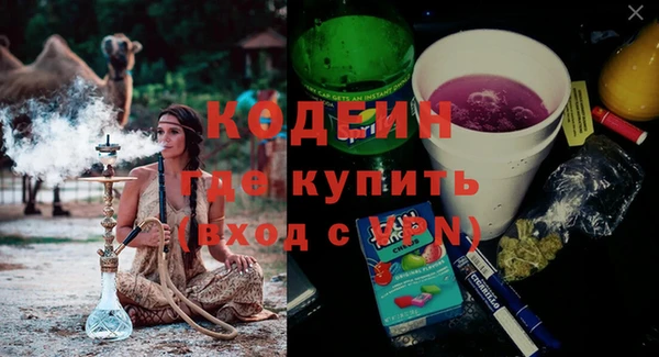 прущие грибы Алзамай