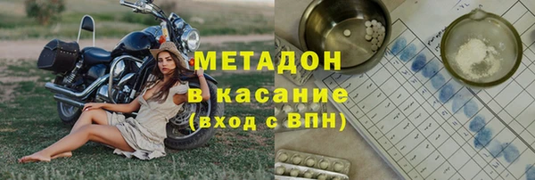 прущие грибы Алзамай
