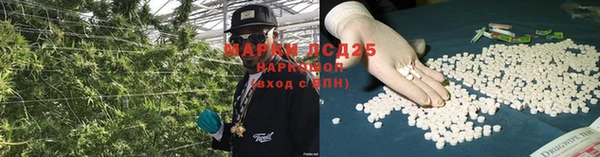 прущие грибы Алзамай