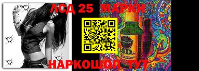 гашик Кимры