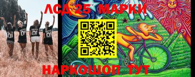 стаф Кингисепп