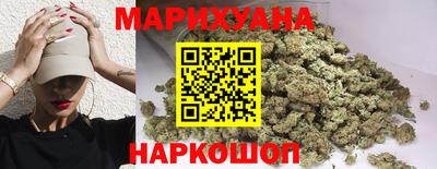 стаф Кингисепп