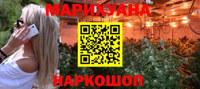 стаф Кингисепп