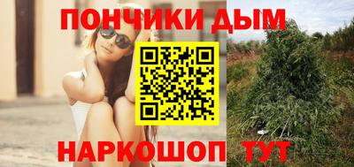 гашик Кимры