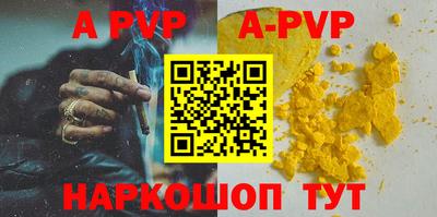 стаф Кингисепп