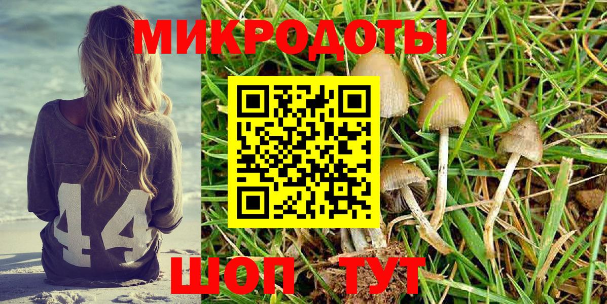 Псилоцибиновые грибы Psilocybe Котельники
